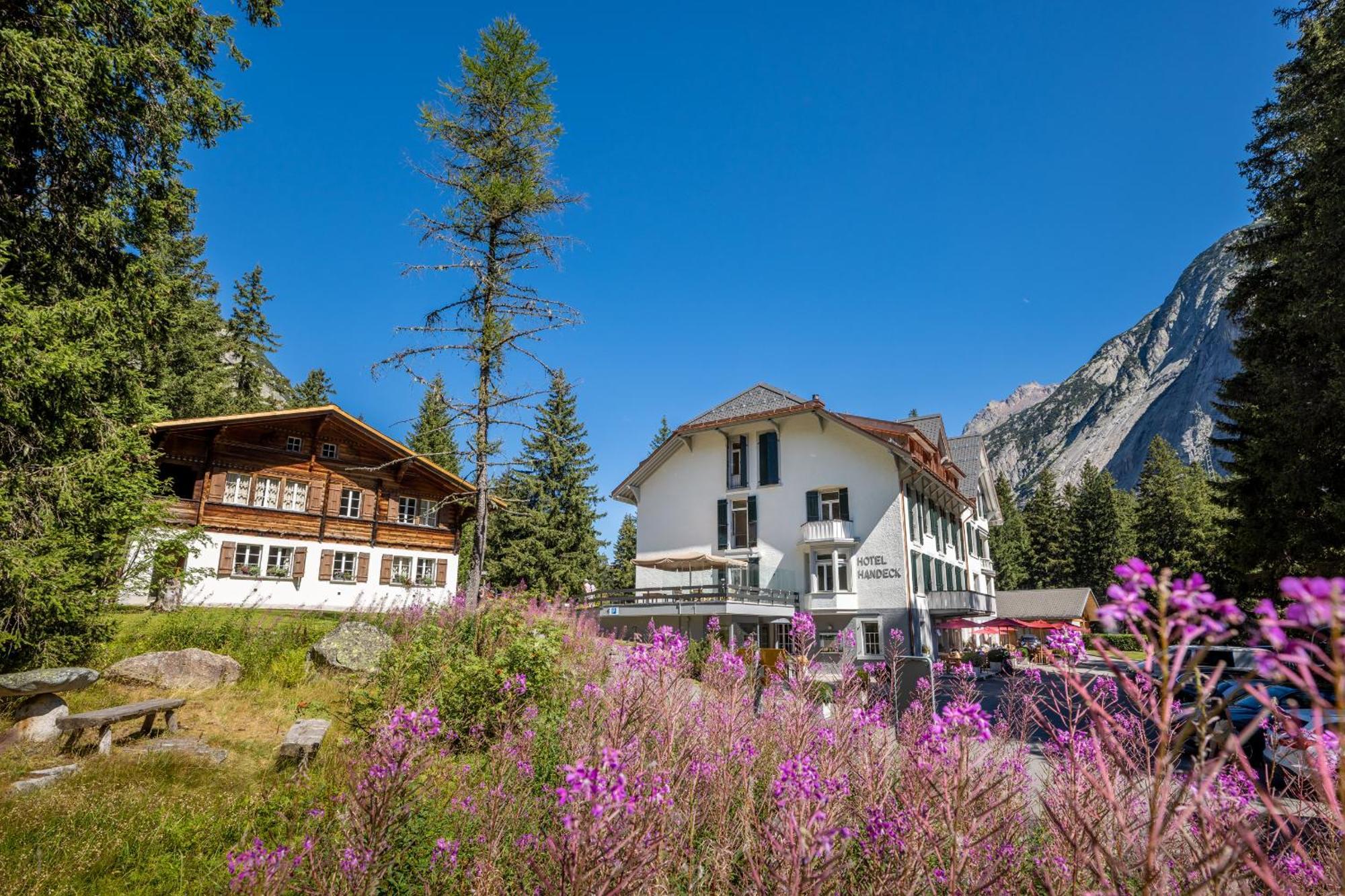 Hotel Und Naturresort Handeck Guttannen Ngoại thất bức ảnh